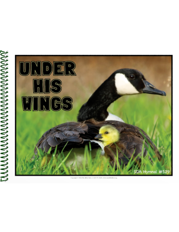 Visualized Song Book: Under His Wings