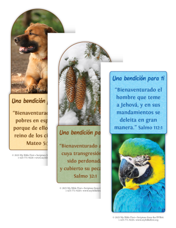Spanish Bookmarks: Blessings Set of 20
