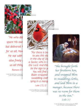 Bookmarks: Christmas Set #1 Set of 20