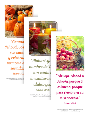 Spanish Bookmarks: Thanksgiving Set of 20