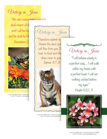 Bookmarks: Victory Set of 20
