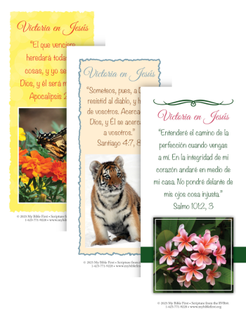 Spanish Bookmarks: Victory Set of 20