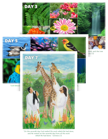 Creation Posters