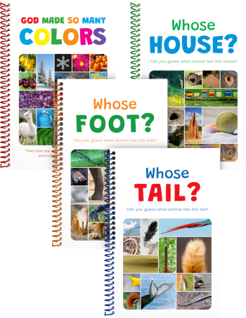 Creatures and Colors
