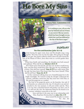 Junior Bible Lessons (old edition) Year B Quarter 4