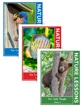 Nature Lessons Set