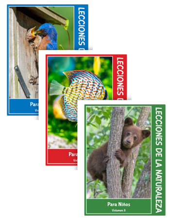 Spanish Nature Lessons