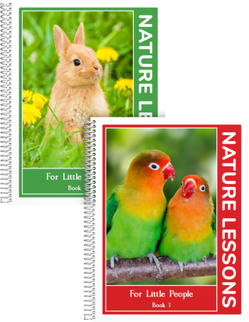 Nature Lessons Spiralbound