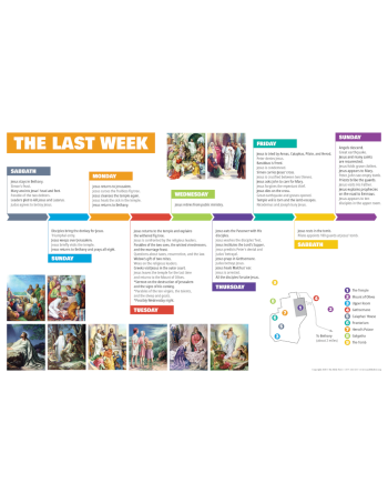Poster: The Last Week