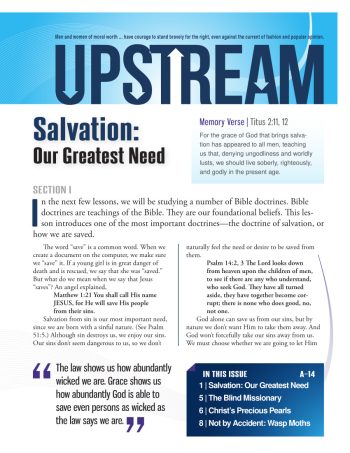 Upstream Bible Lessons Year A Quarter 2
