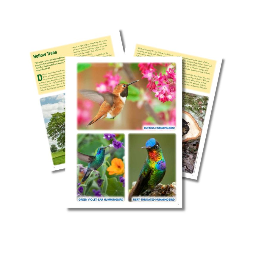 Nature Products 2 (850 x 850 px)